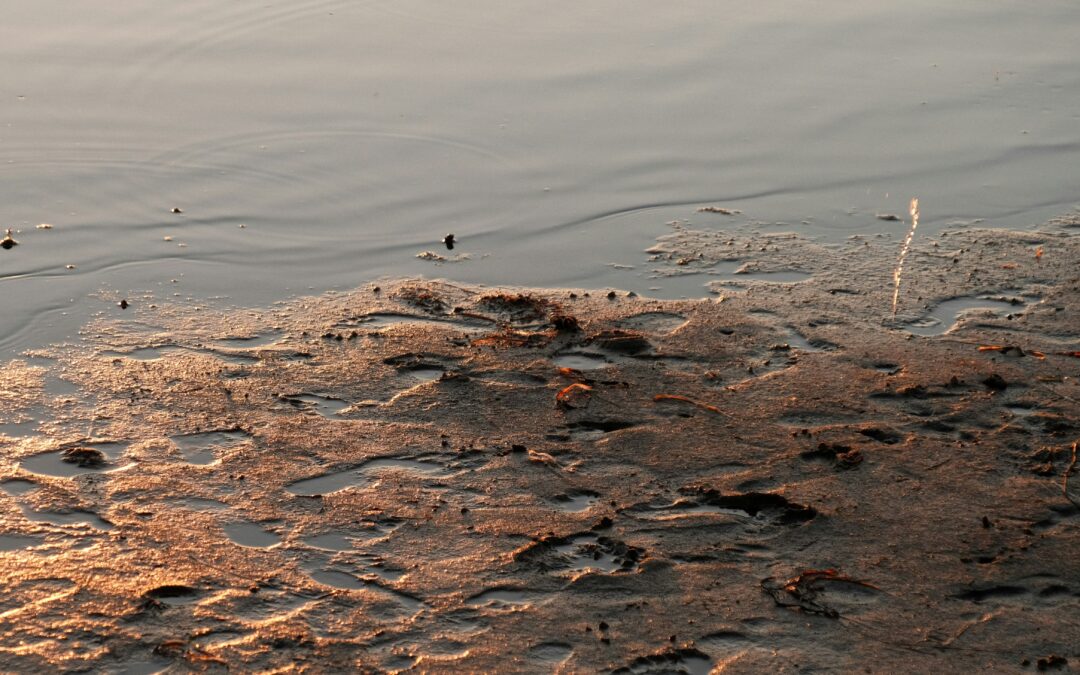 Die schönsten Strände rund um  Horumersiel und Schillig 🌊