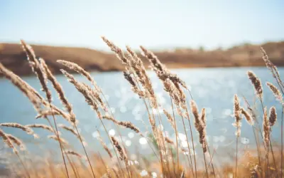 Wellness mit Meerblick: Hier entspannen Sie an der Nordsee 🌊🧘♀️